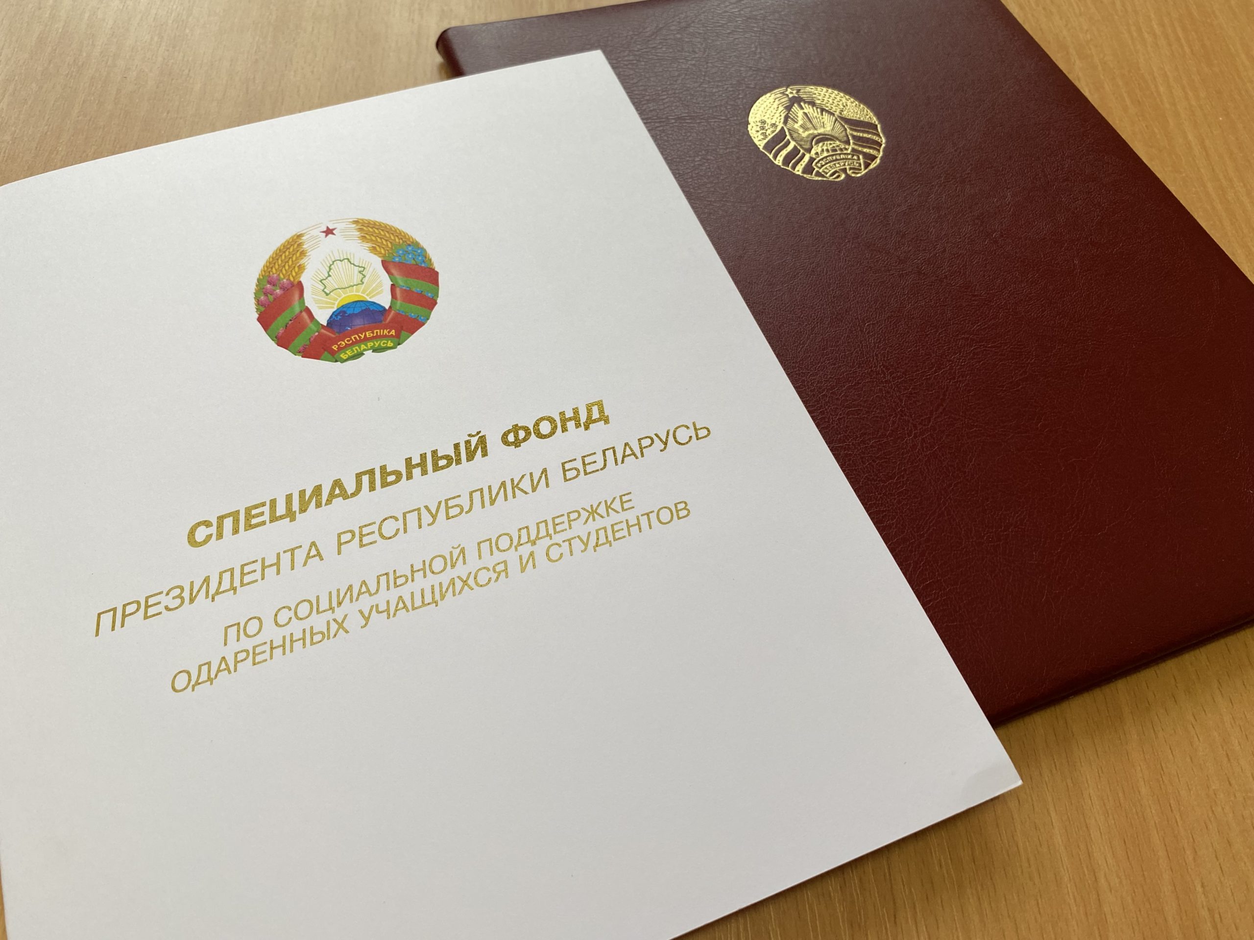Награда специального фонда Президента Республики Беларусь по социальной поддержке одаренных учащихся и студентов